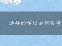 迪拜的学校如何提供良好的教育而不吹灰尘？