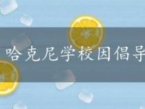 哈克尼学校因倡导健康出行获得金奖