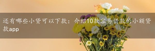 还有哪些小贷可以下款：介绍10款容易借款的小额贷款app