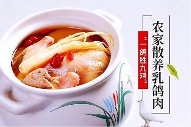 健康养生首选——美味天麻炖鸽子的制作秘笈