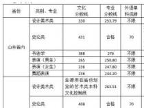 石家庄二中分数线，2017-2020年统招及美术特长生录取情况