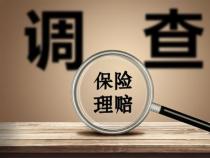 绝对免赔额：保险理赔责任的划分与转移