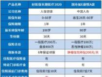 中国人寿哪个险种最好：重疾险与医疗险的均衡选择