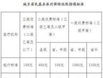 省医保和市医保的区别：负责单位、报销标准和办理机构的不同