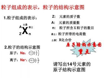 碳的化合价：多样性与生命不可或缺的元素