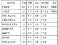 不同类型的职业学校：初等、中等和高等职业教育一览