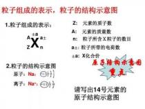 碳的化合价：多样性与生命不可或缺的元素