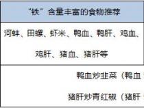 富含叶酸的食物清单：让健康从饮食开始