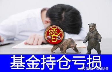 中欧消费主题股票A基金：超越基准的主动投资策略