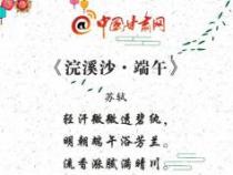 小学端午节最常见诗句：古诗词中感受节日氛围