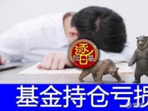 中欧消费主题股票A基金：超越基准的主动投资策略