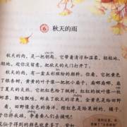 秋天的雨：课文内容与赏析