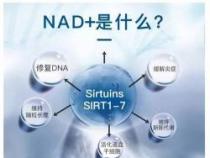 网购电器首选哪个平台？买电器哪个网站好，一文带你了解！