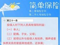 保险合同的客体：投保人享有的法律利益而非保险标的本身