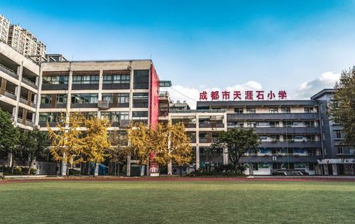 成都小学排名前十名：优质教育资源一览无余