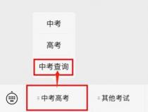 中考查询电话：找回报名号的重要途径