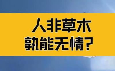 人非草木孰能无情：解读《水浒传》中的情感与感激