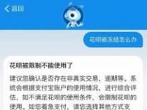 花呗被盗刷能追回来吗？了解支付宝的应对措施与保险原则