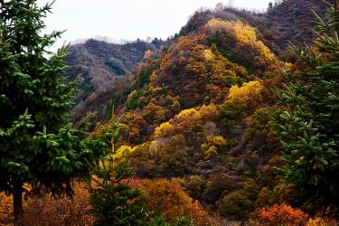 六盘山在哪：探寻宁夏、甘肃、陕西交界处的山水风光