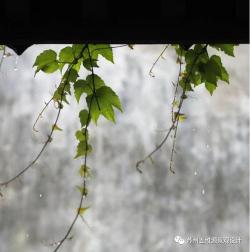 苏州梅雨季节：每年6-7月间的潮湿气候及背后的故事