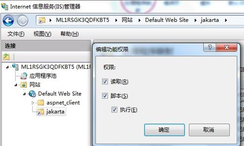 Win7配置Web服务器：搭建个人专属的网络共享平台