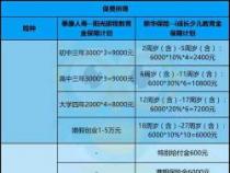 重疾险20万多少钱一年？热门产品的试算与解析