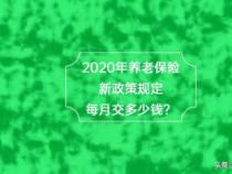 养老保险：为老年生活提供保障和医疗支持的重要性