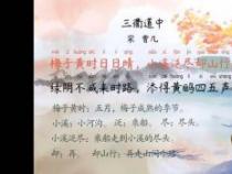 小溪泛尽却山行的“却”字解析，曾几诗中的意境与情感