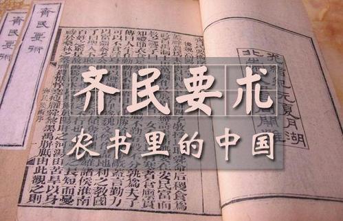 《齐民要术》：第一部农业百科全书，古代农业的智慧结晶