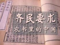 《齐民要术》：第一部农业百科全书，古代农业的智慧结晶