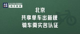 车辆识别代号全解析：你的汽车“身份证号”藏了哪些秘密？