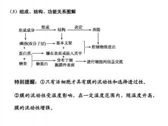 细胞膜的主要成分：磷脂、蛋白质和糖类的共同作用