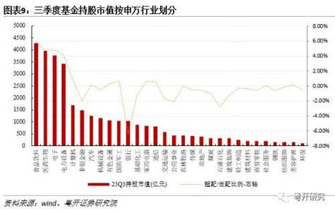 景顺长城新兴成长混合基金：从投资特点到风险评估的全面解析