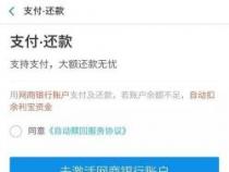 网商银行怎么借钱：申请流程与注意事项