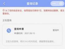 征信查询次数多怎么办：恢复信用记录的实用策略