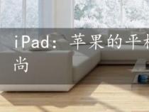 iPad：苹果的平板电脑，功能强大且时尚