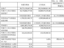 Q1什么意思：解读上市公司第一季度业绩报表的重要性