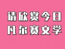 三个月试用期不交社保：如何维护自己的权益