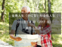 金佑人生2017：全面解析保障与分红特色