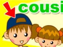 Cousin有几个意思：一文解析Cousin的多重含义与用法