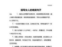 始终造句二年级：探索语言之美的无限可能