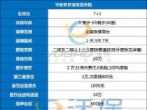 100元学生保险：全方位报销范围解析