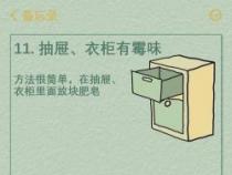 伙食补助申请书：改善生活质量，提高工作效率