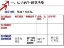 黄鼠狼拜月的科学解释：民间传说与现实观察的交汇点