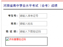 河北学考成绩查询：入口、方法及等级说明