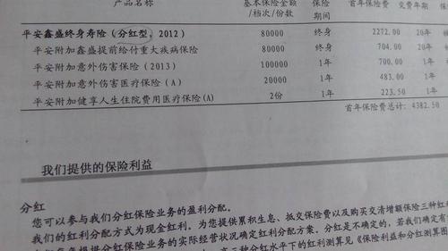 平安鑫盛12：交满20年后，保障依然相伴