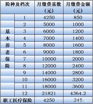 自费交社保：每月费用及缴费方式详解