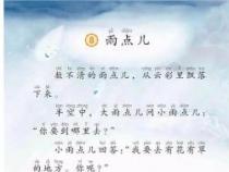 雨点儿教案：以生活体验为引，激发学生的阅读兴趣