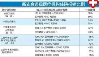 医疗报销最迟多久到账：全面解析各类医疗保险的到账时间