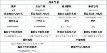 个人征信报告：如何解读与维护，助力您的金融之路